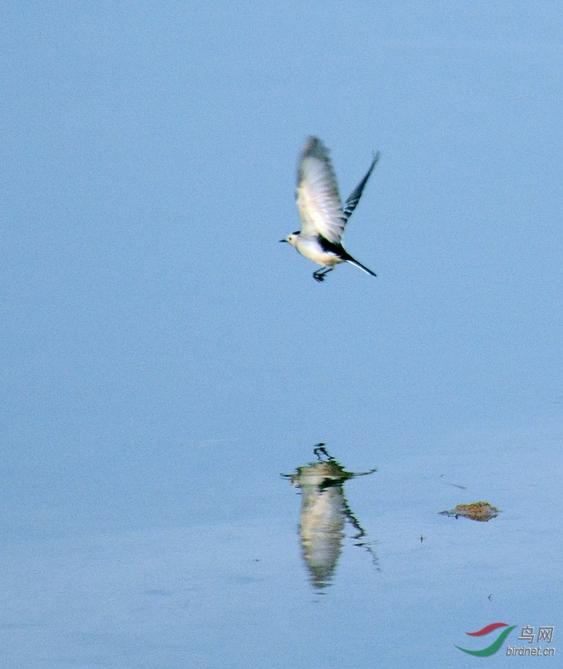 DSC_8818.JPG