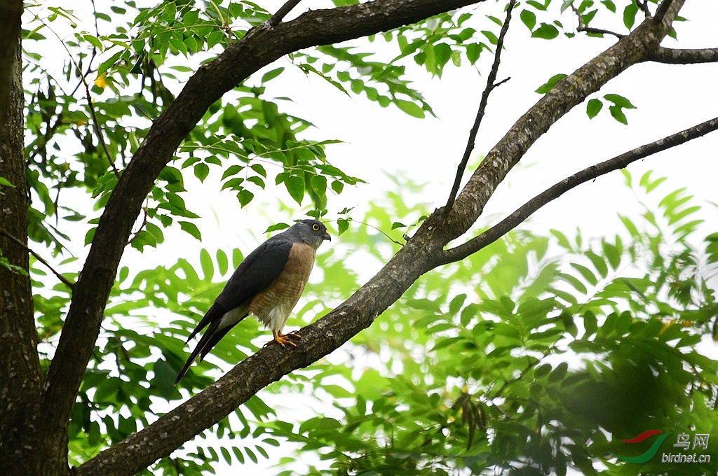 DSC_1139.JPG