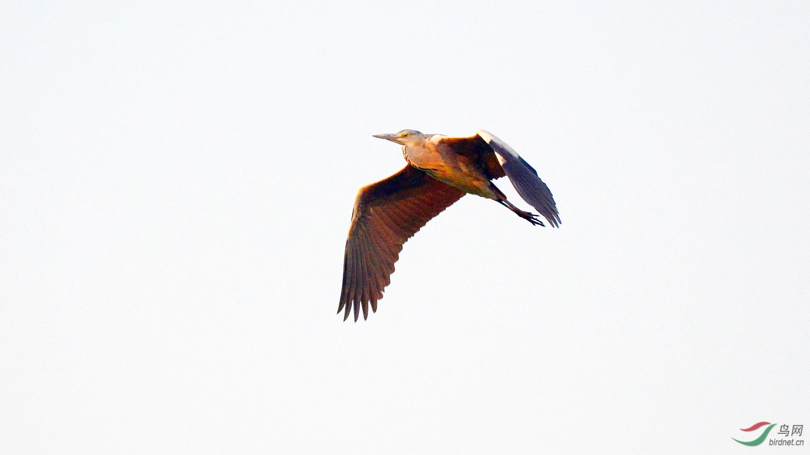 DSC_8643.JPG