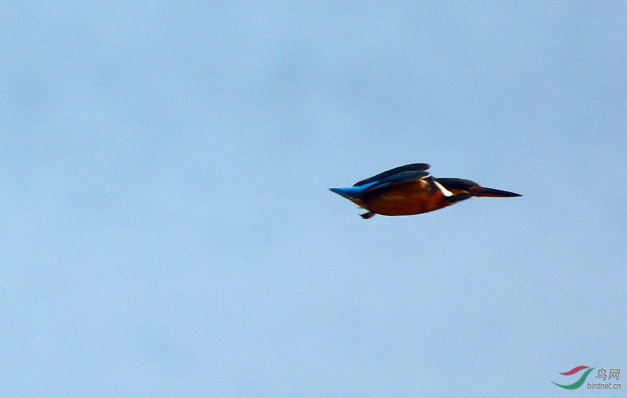 5DSC_7877.JPG