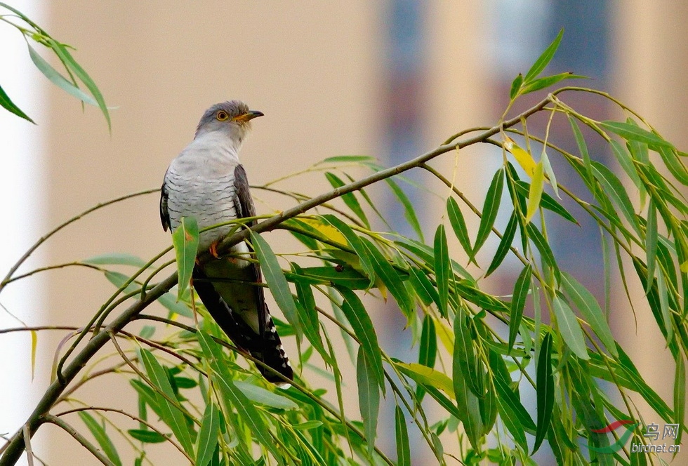 DSC_1882.jpg