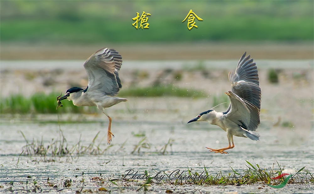 201905220117�����-1.jpg