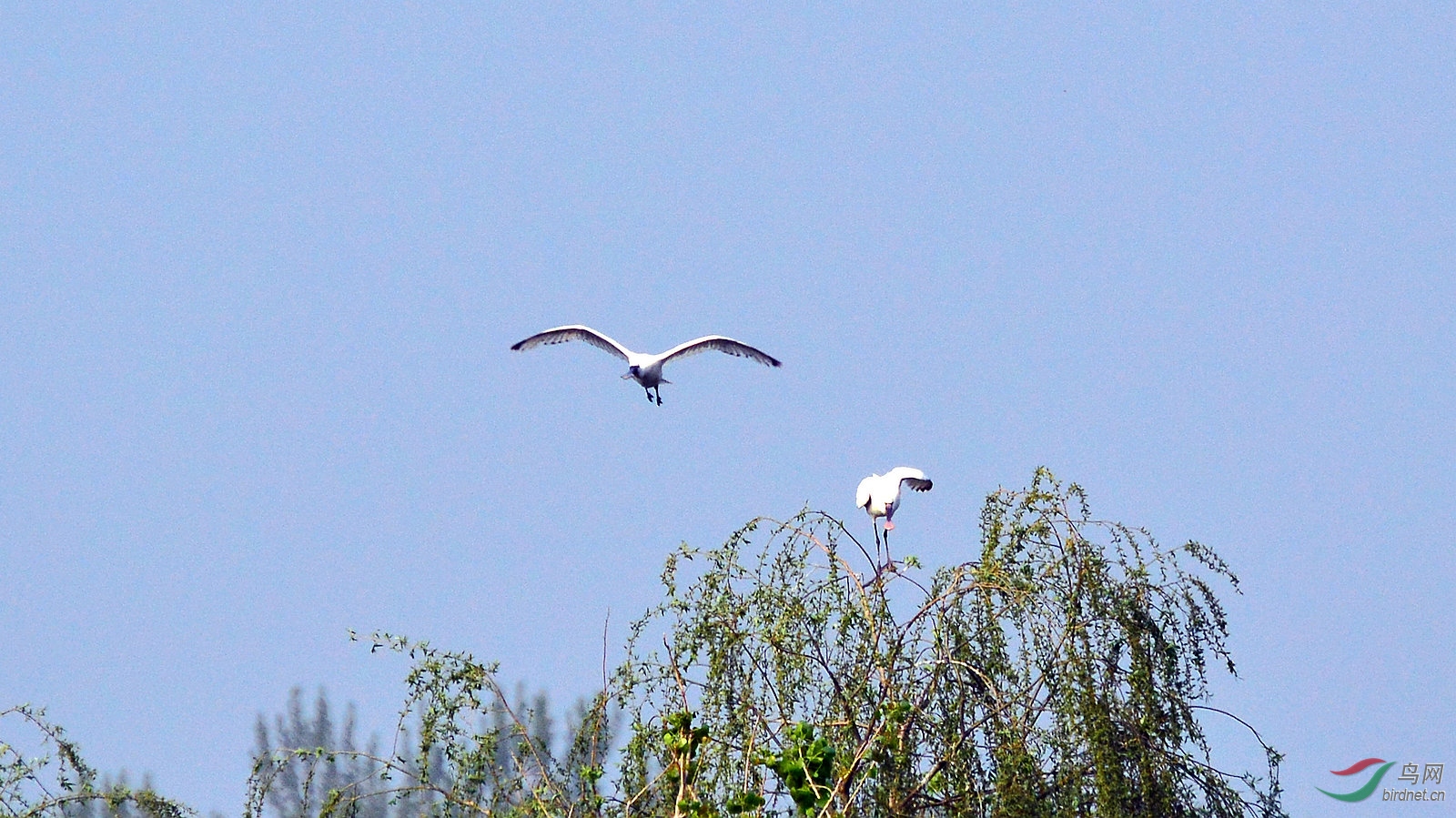 DSC_6354.JPG