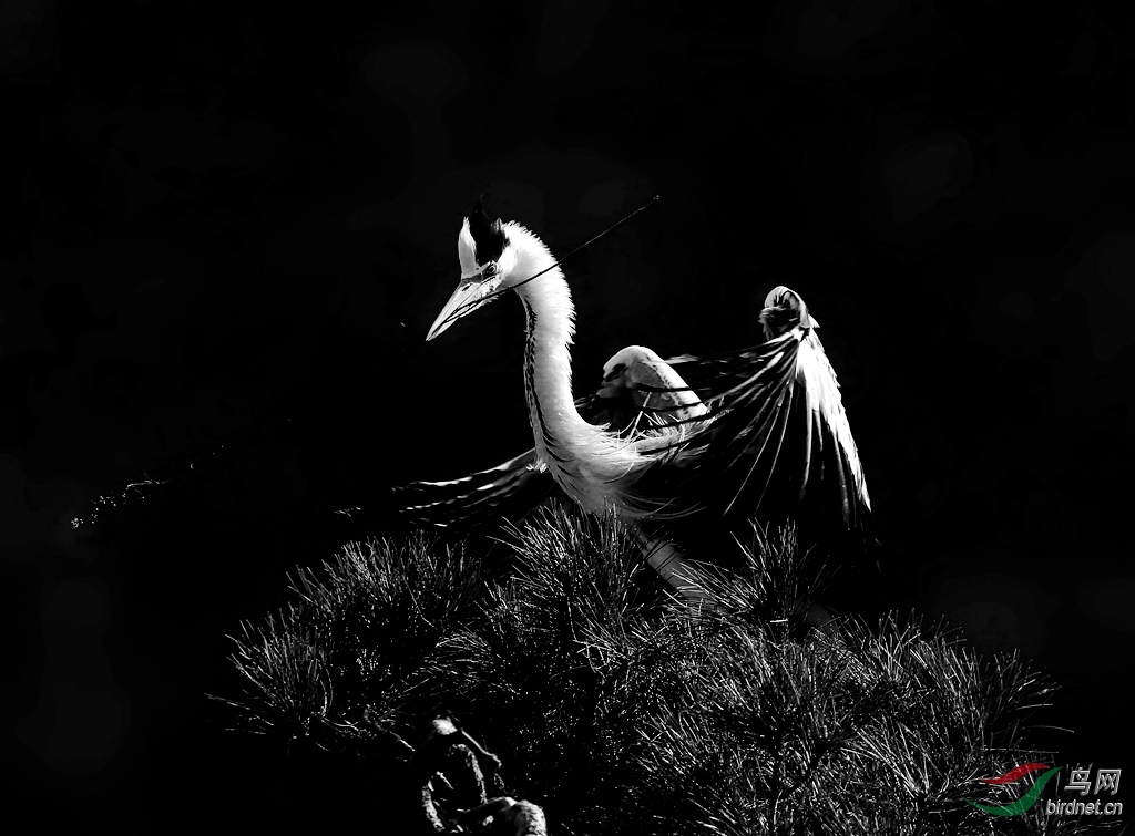DL3T8324_.jpg