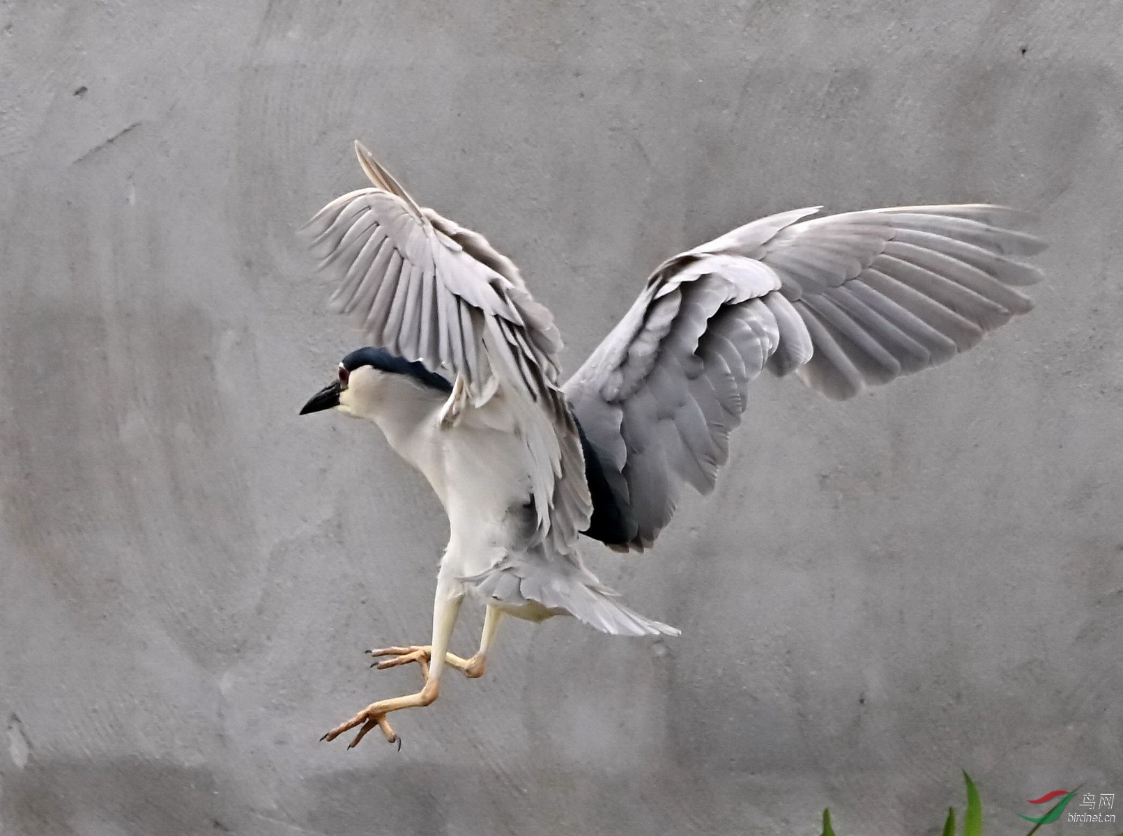 DSC_2843.jpg