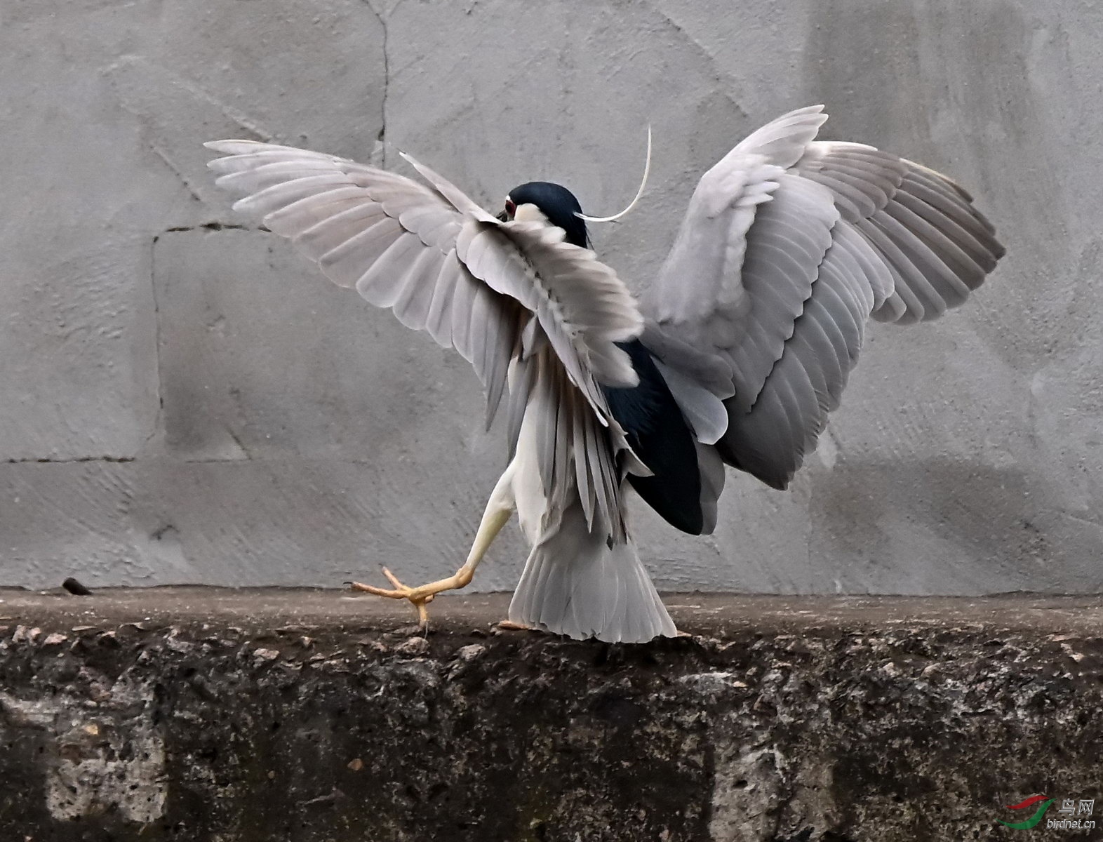 DSC_2846.jpg