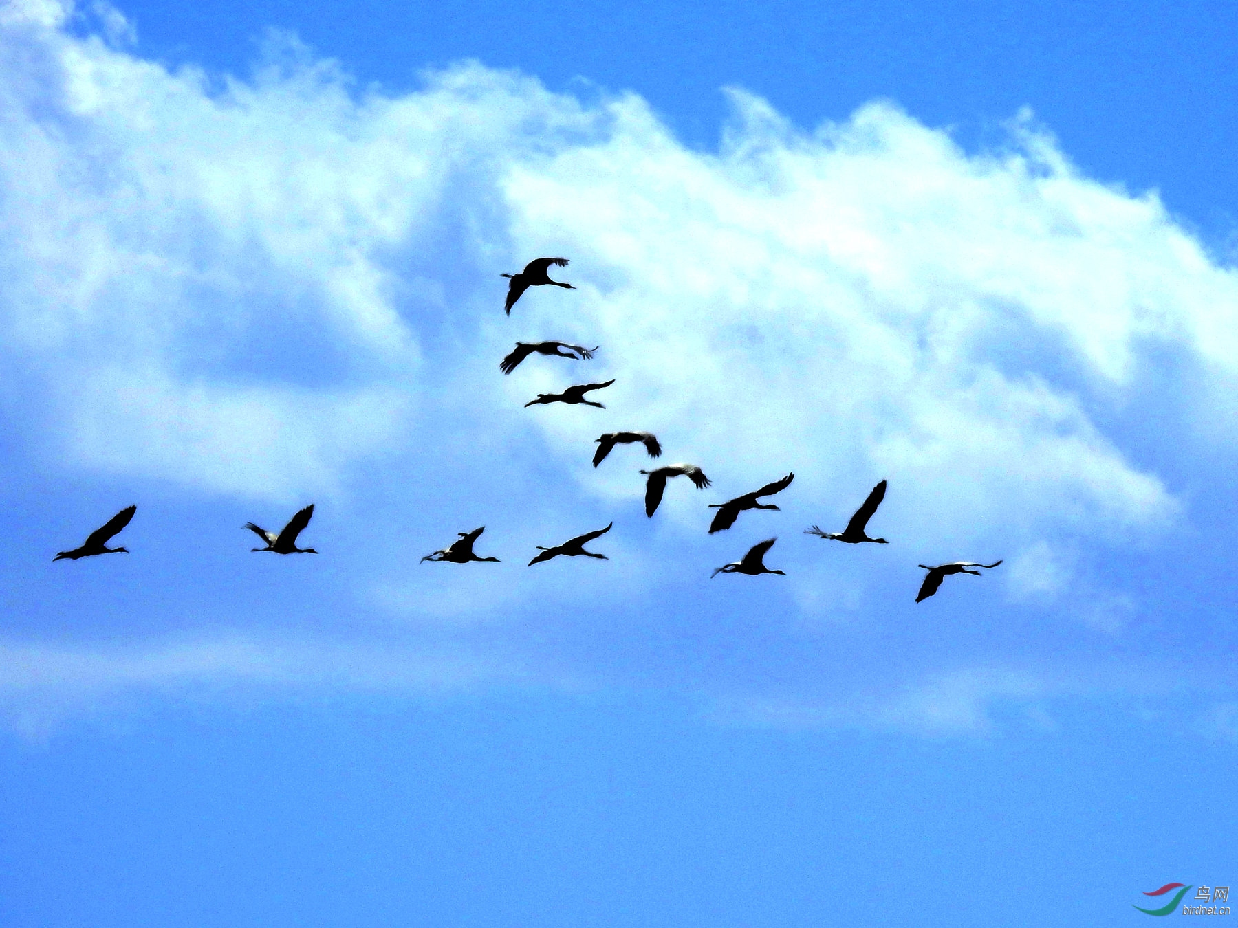 �῵2018.3.4�ݺ� 672.jpg