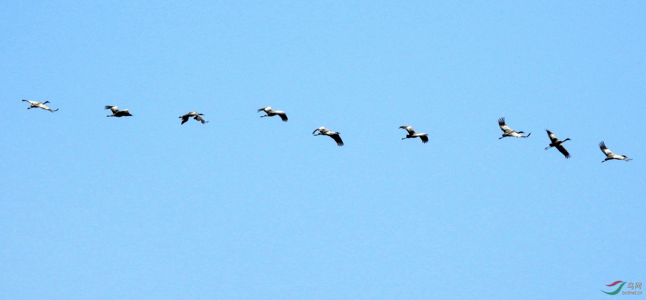 �῵2018.3.4�ݺ� 674.jpg