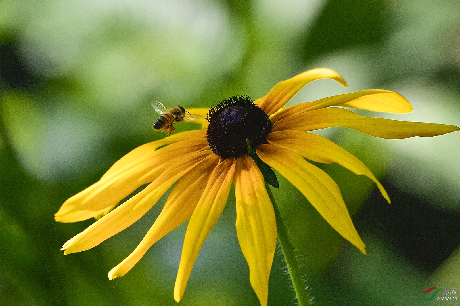 _D4S3294_4273a.jpg