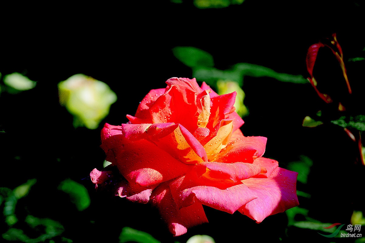 DSC_3350.JPG