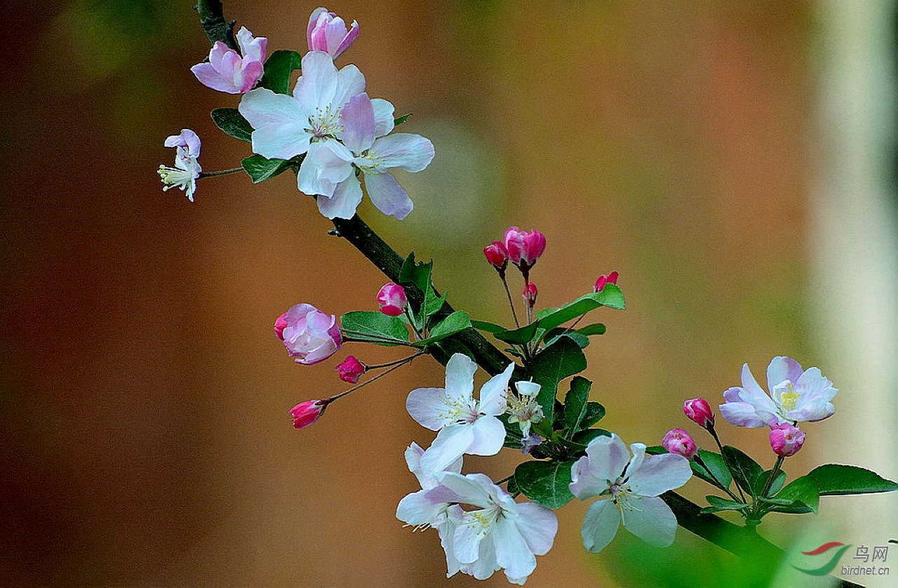 DSC_2047.JPG