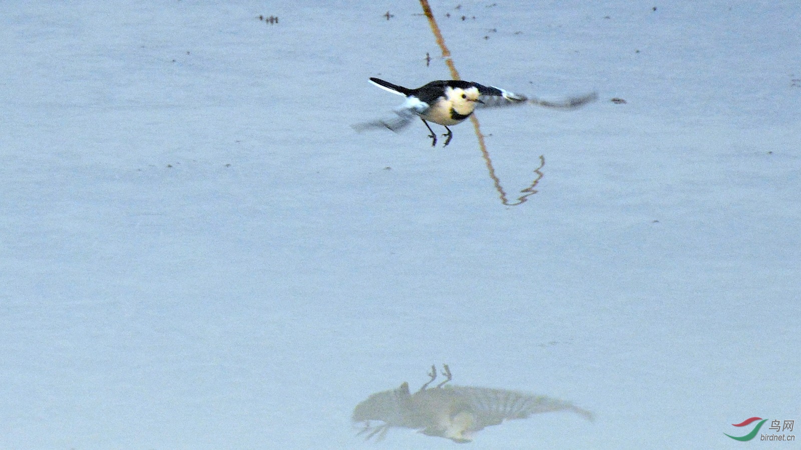 DSC_8834.JPG
