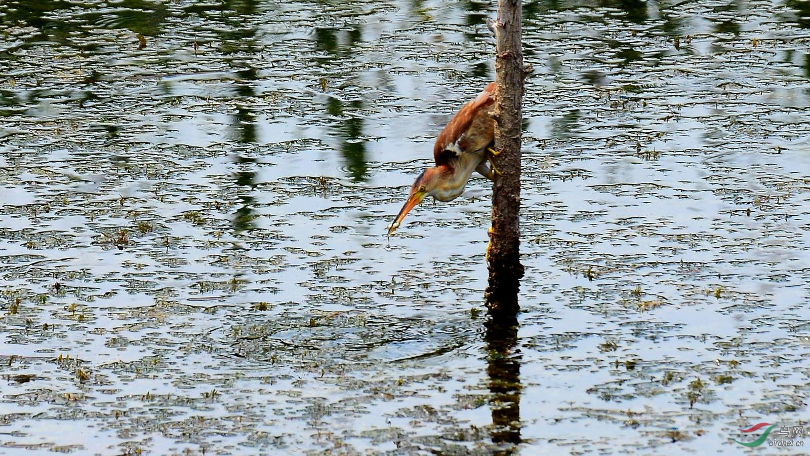DSC_5780.JPG