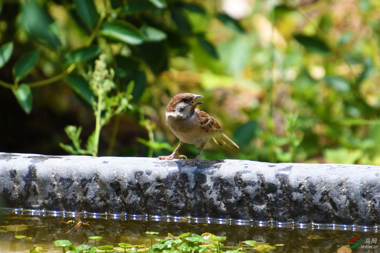D50_6518.jpg