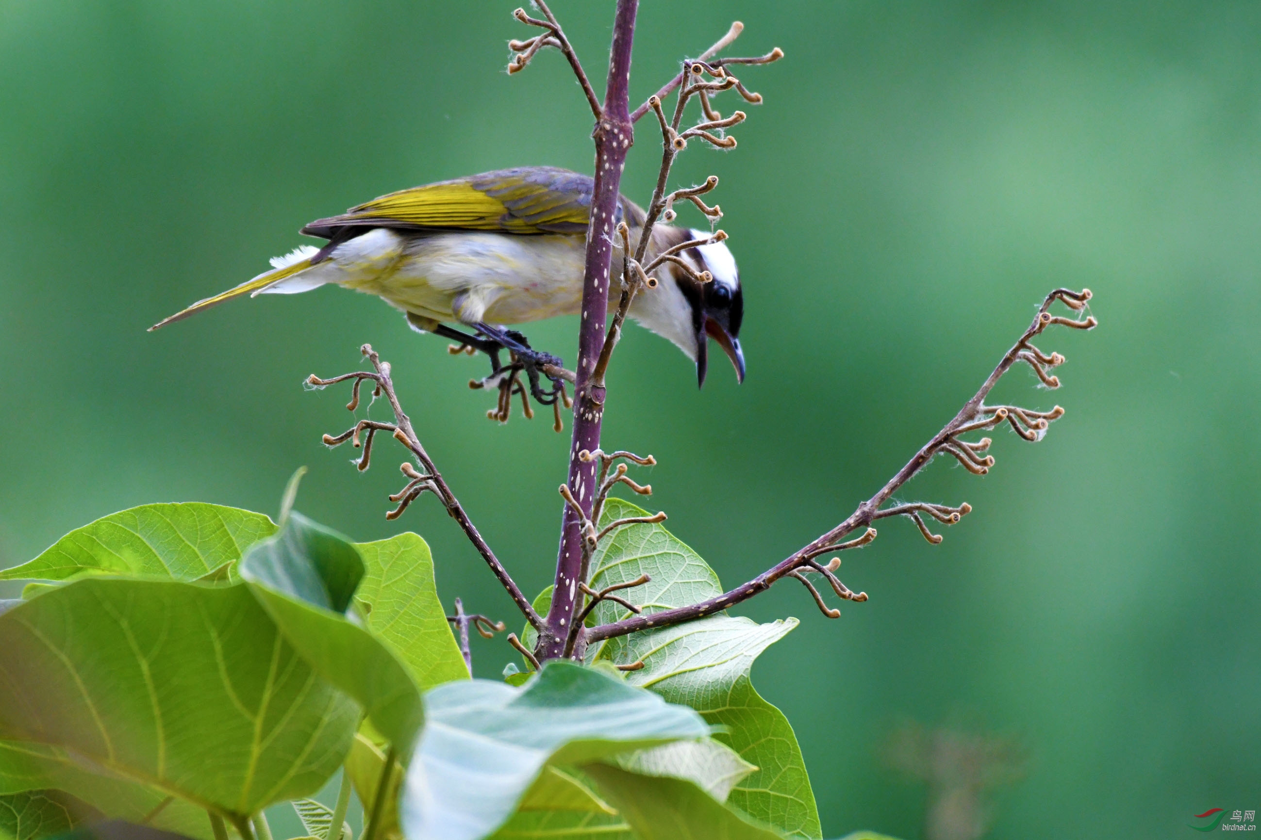 D50_6526.jpg