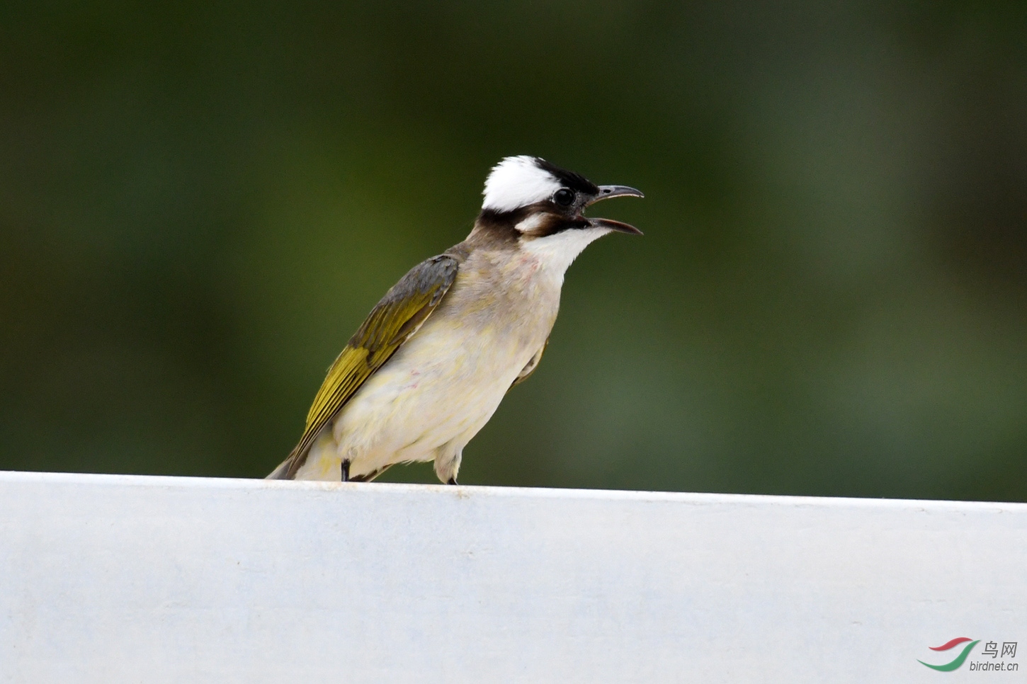 D50_6533.jpg
