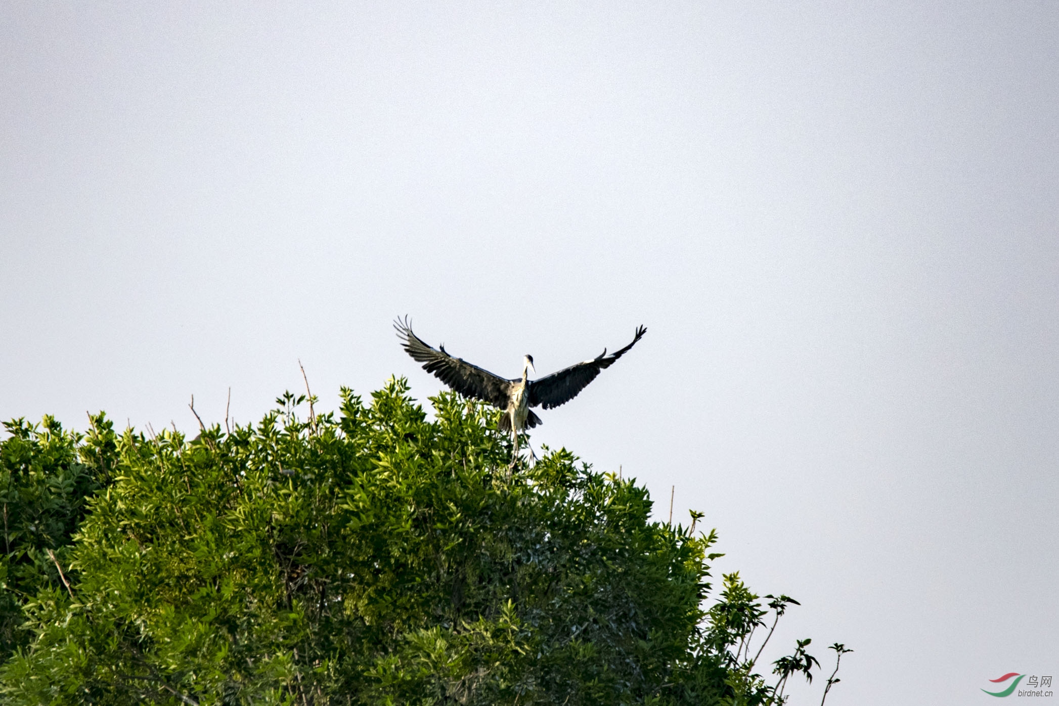 D85_2428.jpg