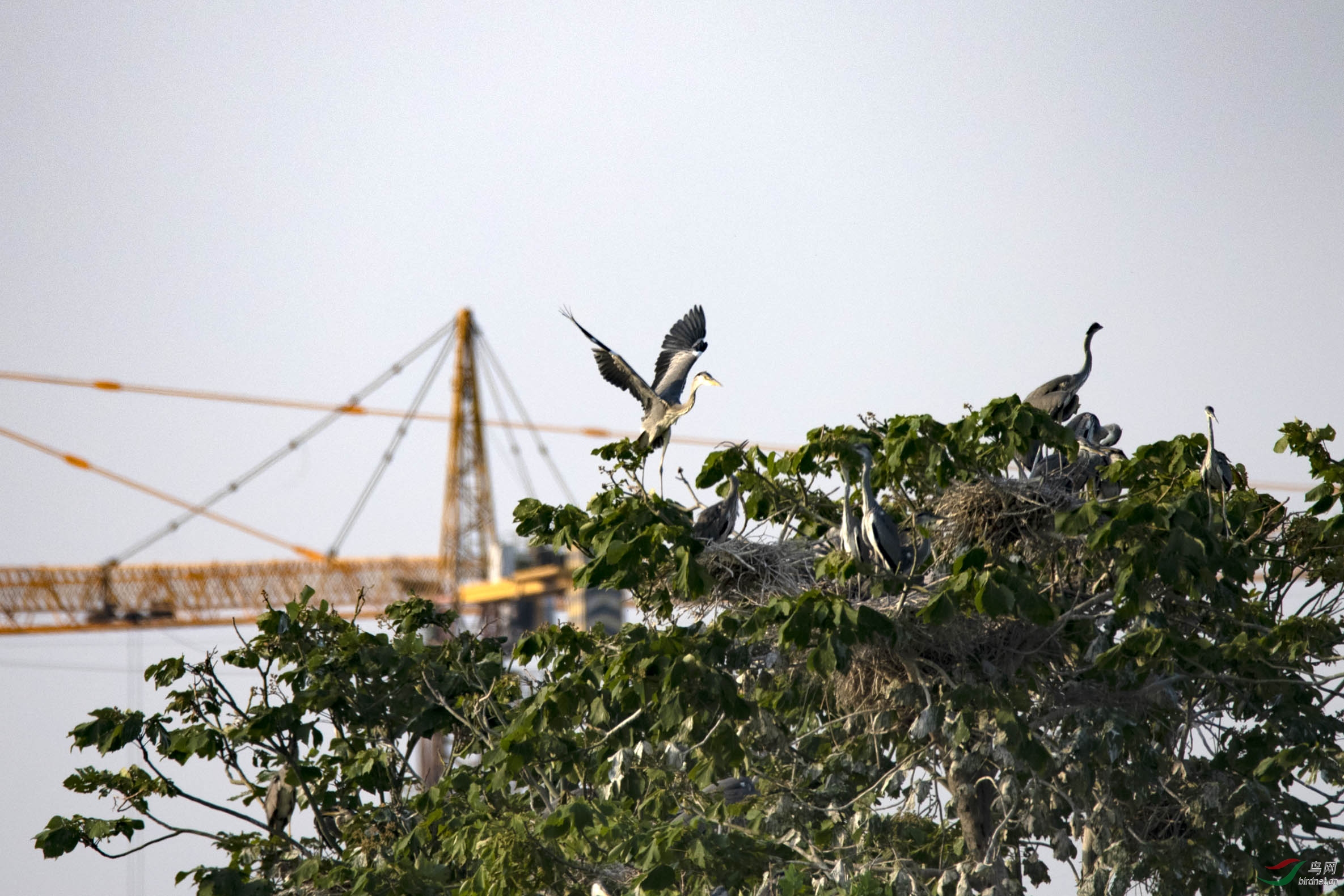 D85_2475.jpg