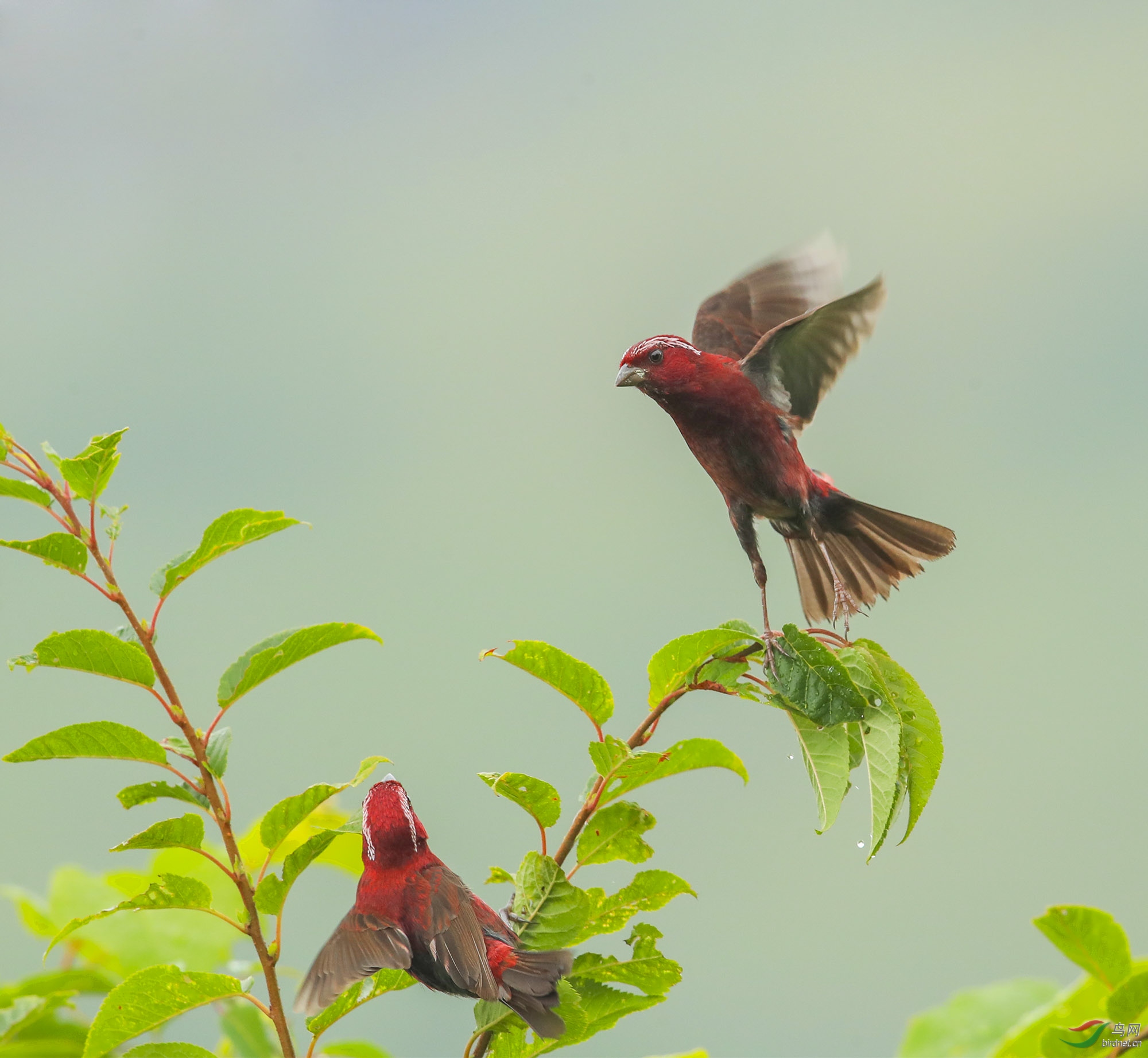 ��-��Ϊ���ܶ���---1- (1).jpg