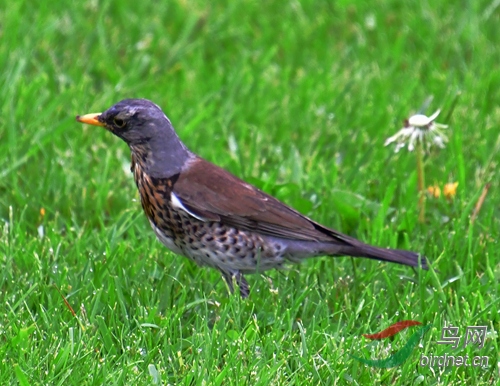DSC_7793.JPG