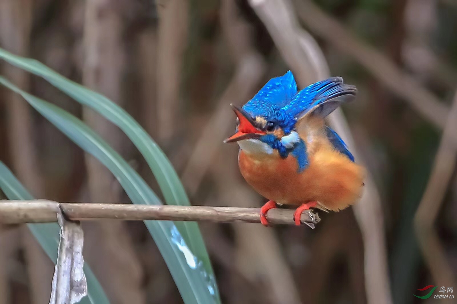 _201812031022192 (25).jpg