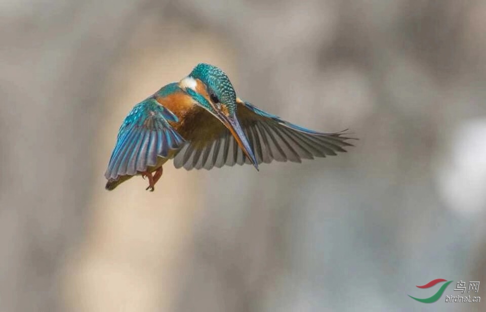 _201812031022192 (46).jpg