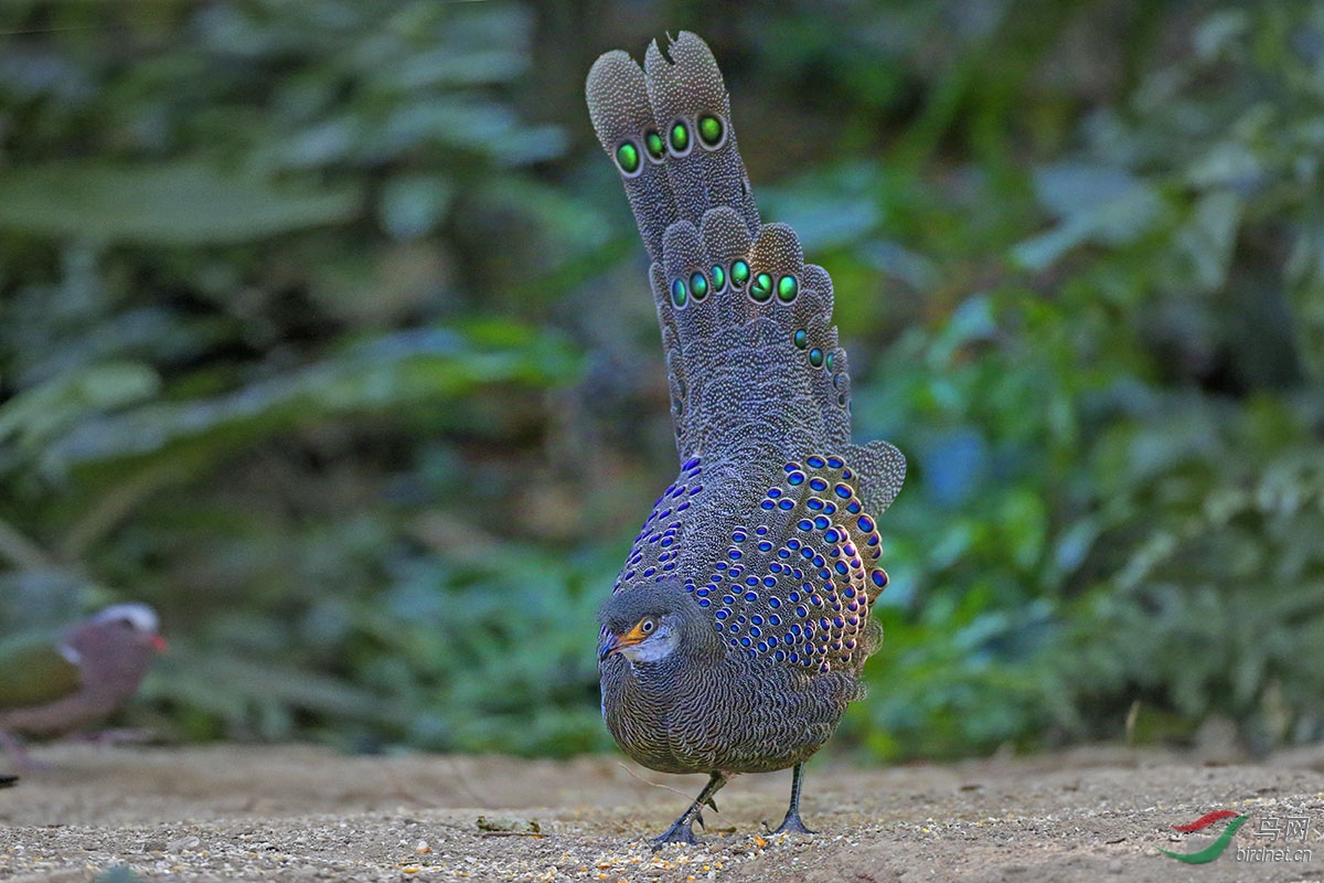 CK6K7139.JPG