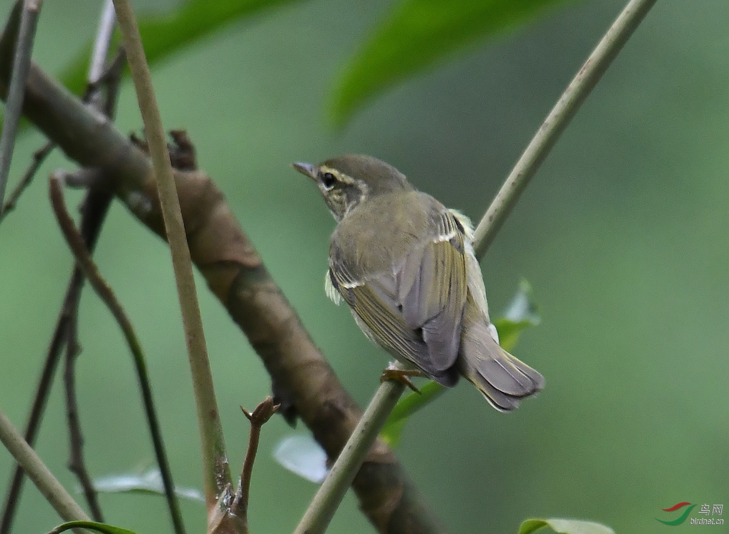 DSC_9030.jpg