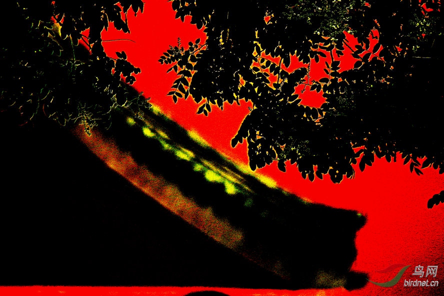4K0A2232_����_����.jpg