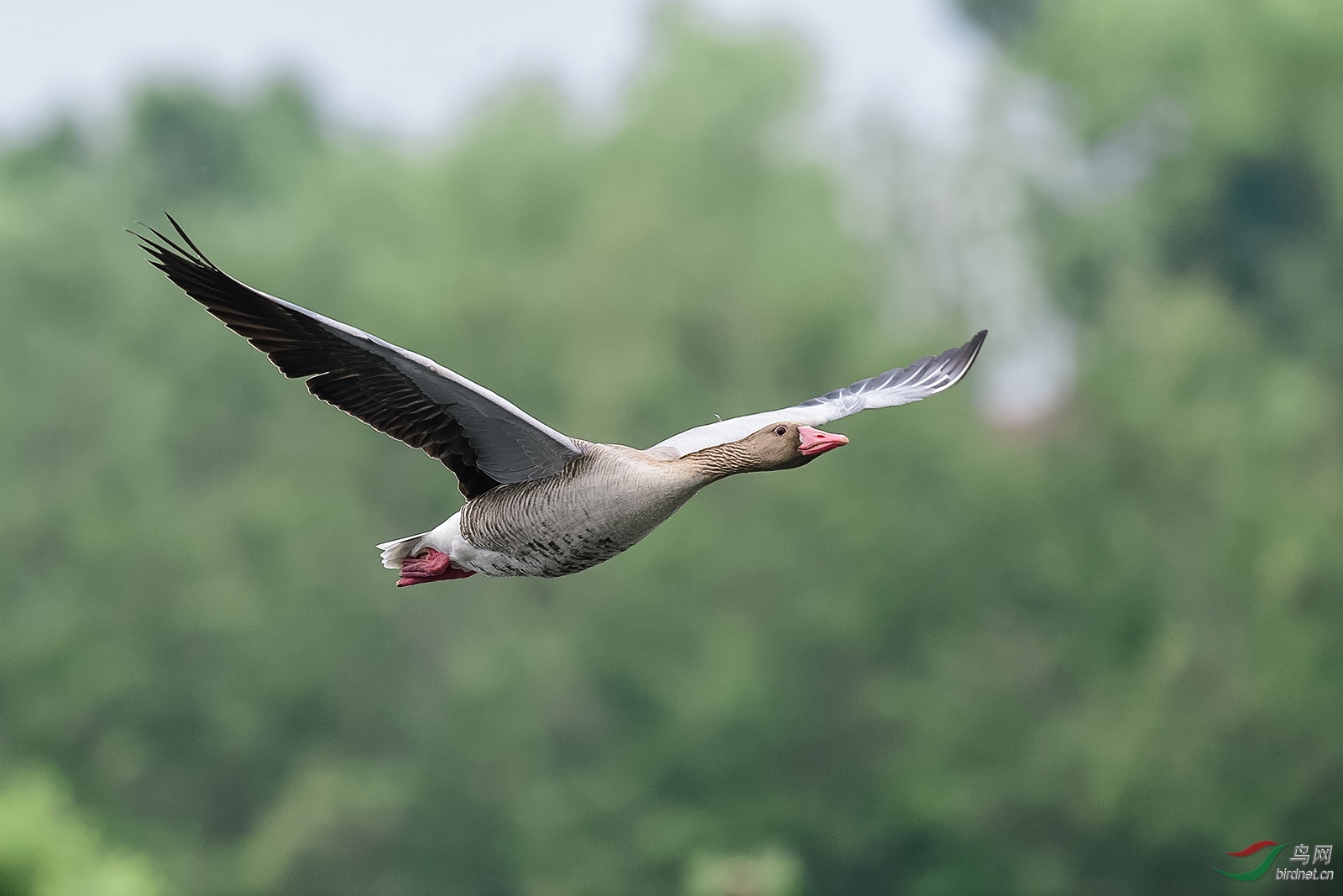 D5S_9717_19189a.jpg