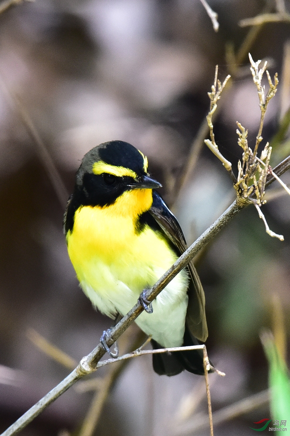 DSC_0003.JPG