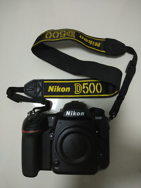 �῵D500