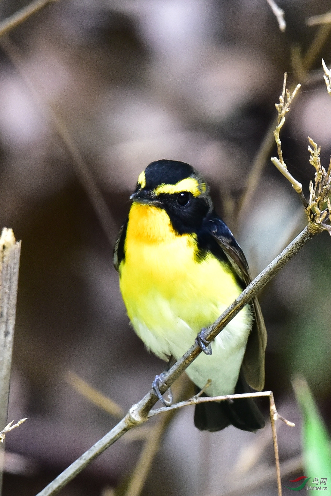 DSC_0007.JPG