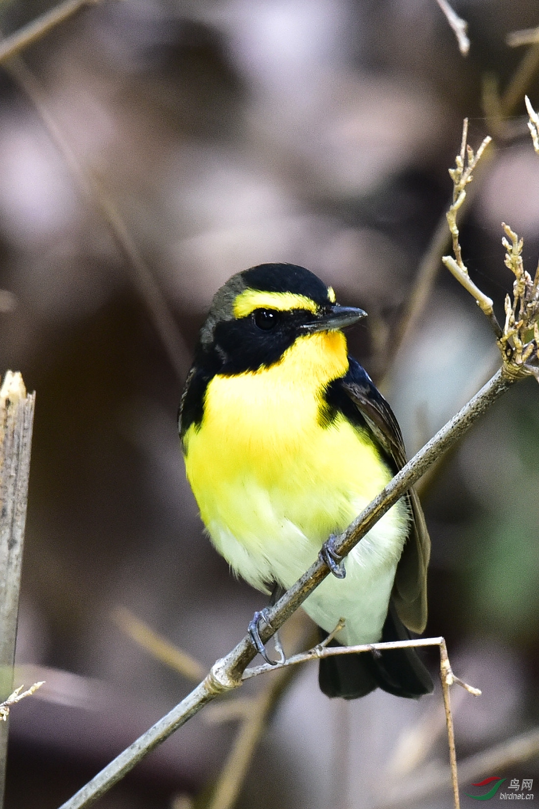 DSC_0010.JPG