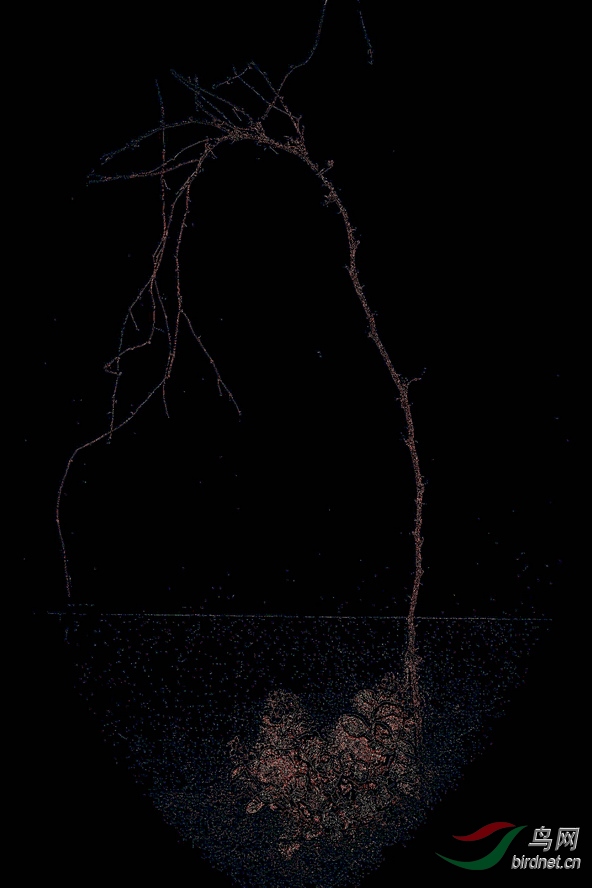 8J6A1961_����_����1_����1_����1_����1_����2_����1_����1_����.JPG
