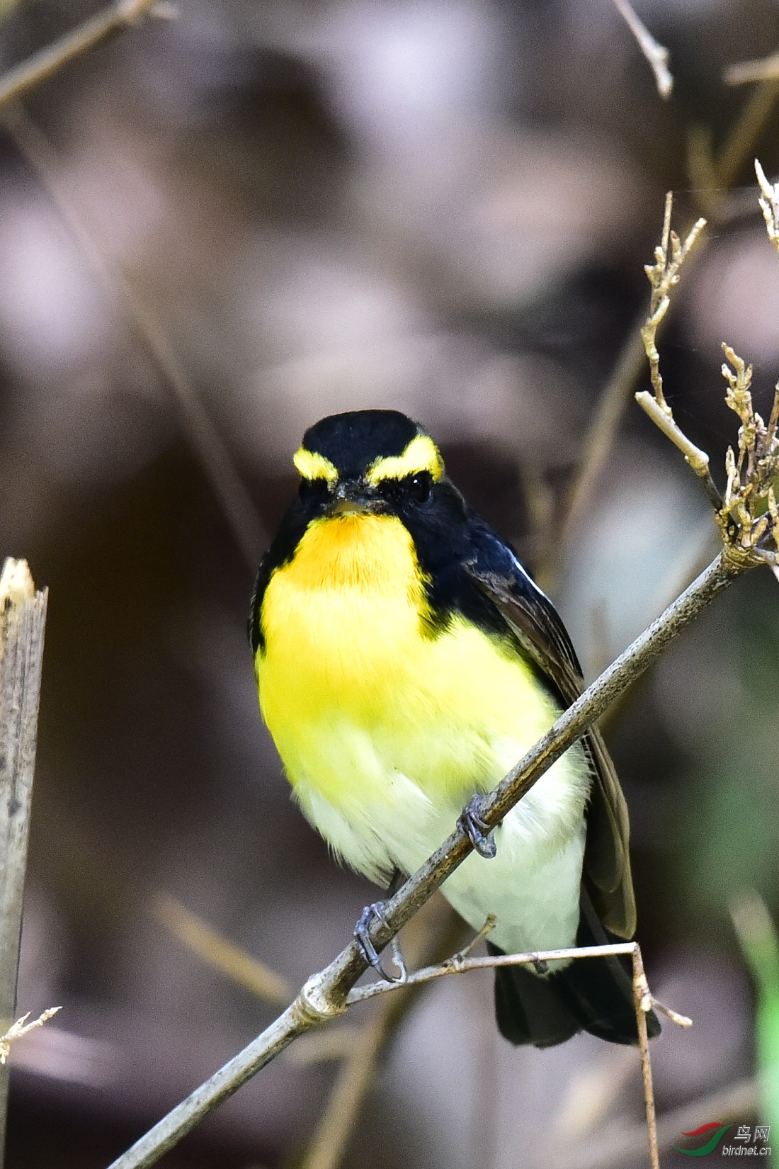 DSC_0011.JPG