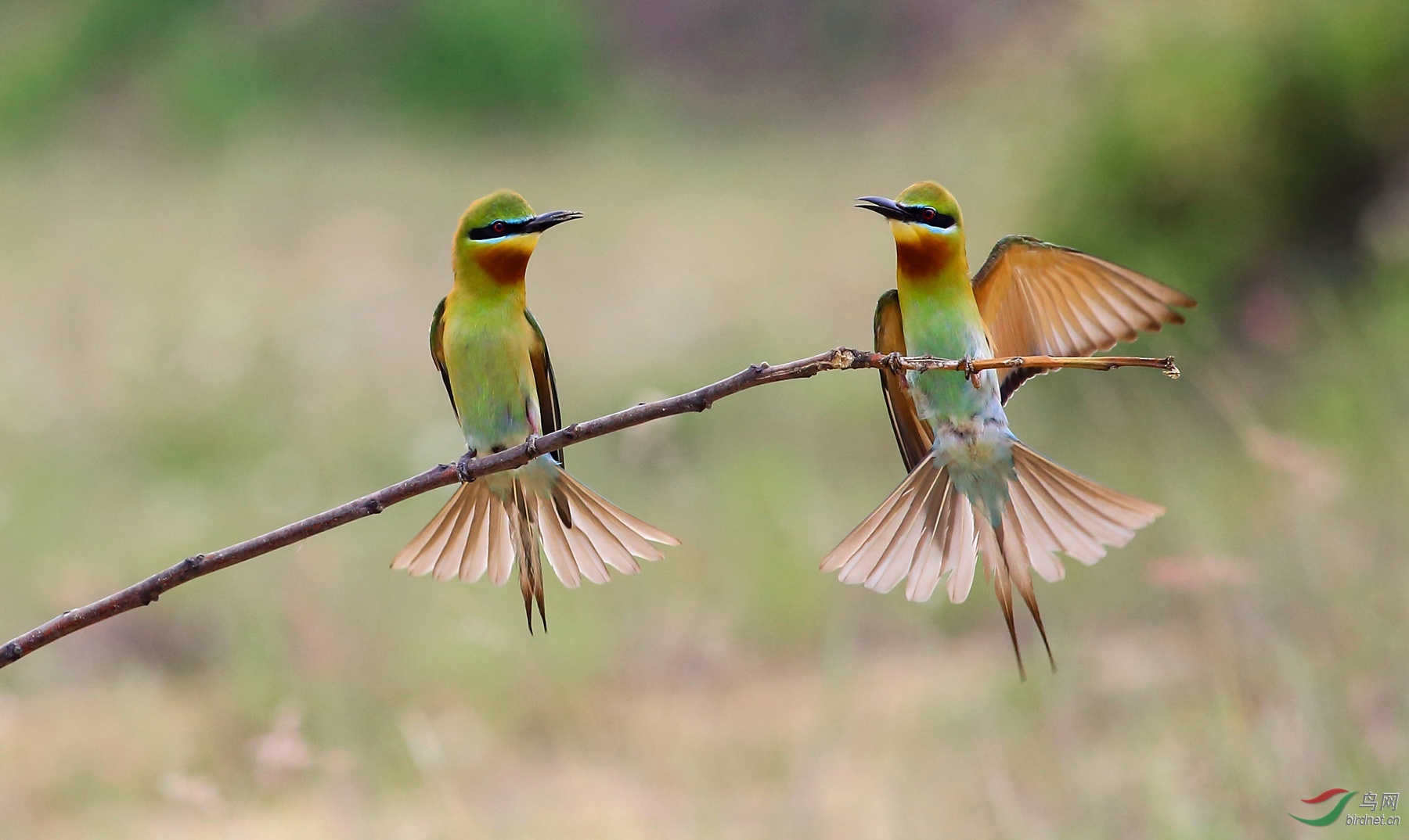 2019-05-19 10-39-22 (3).JPG