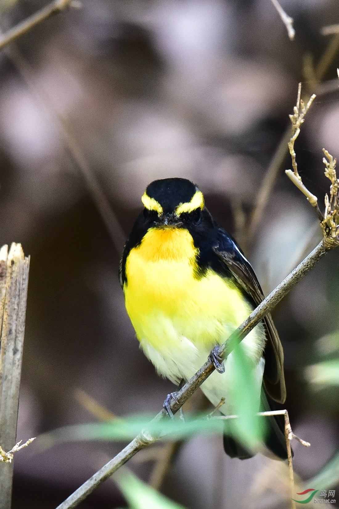 DSC_0013.JPG