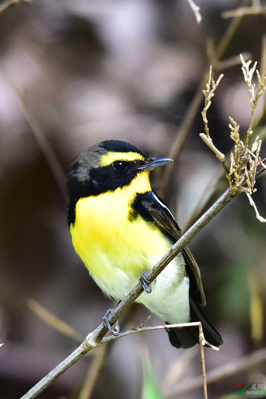 DSC_0014.JPG