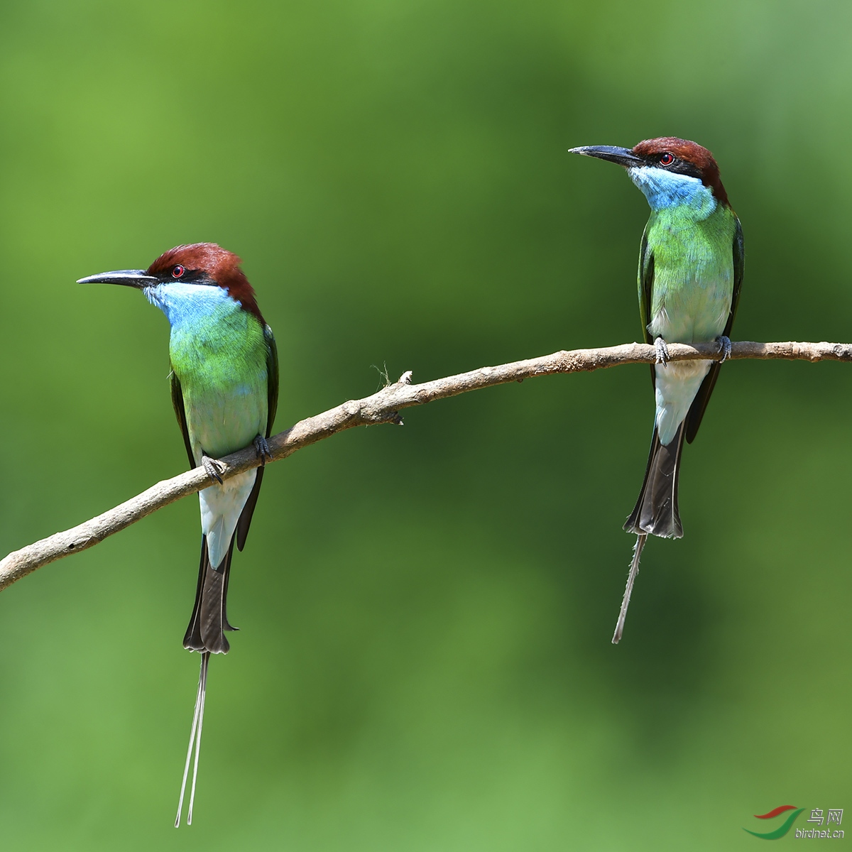 DSC_5537.jpg