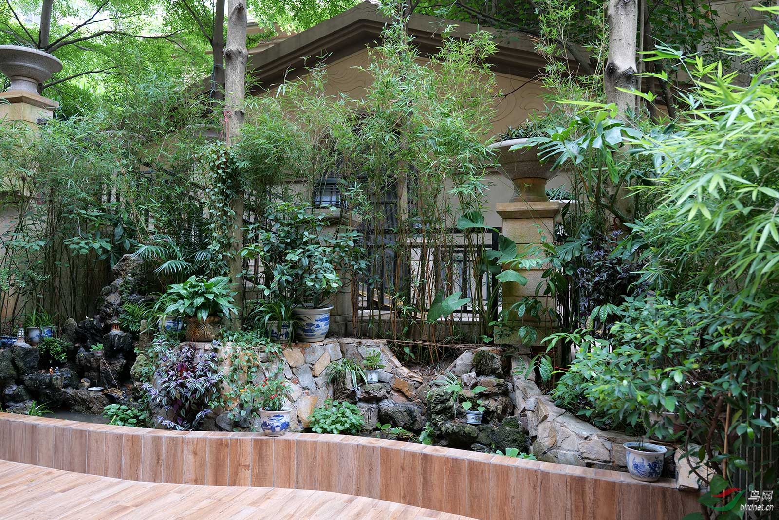 ����S1R����Ƭ