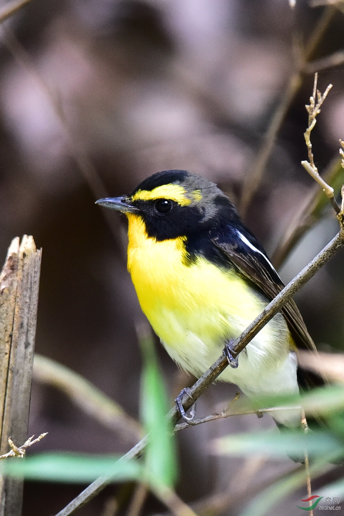 DSC_0015.JPG