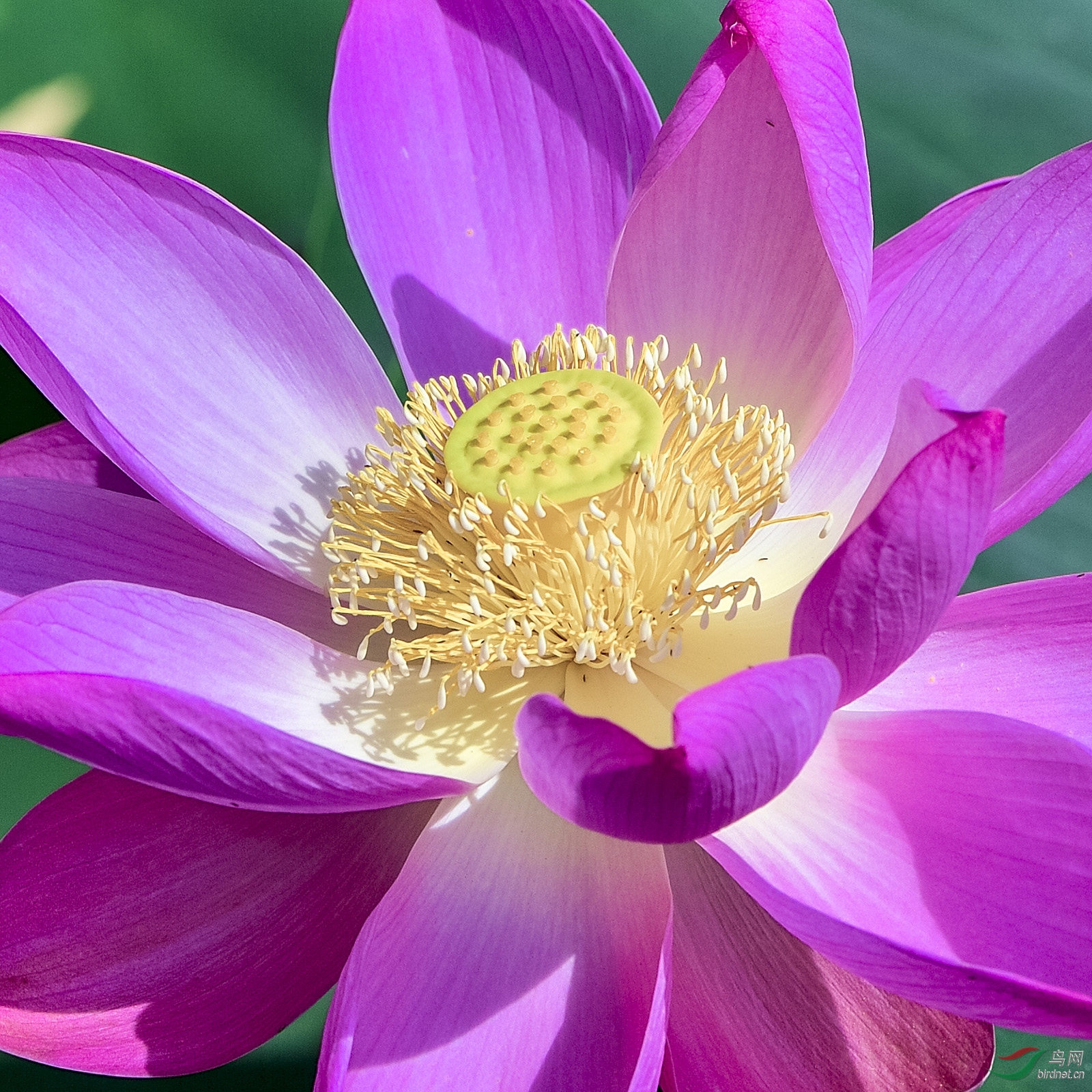 _D4S3405_4339a.jpg