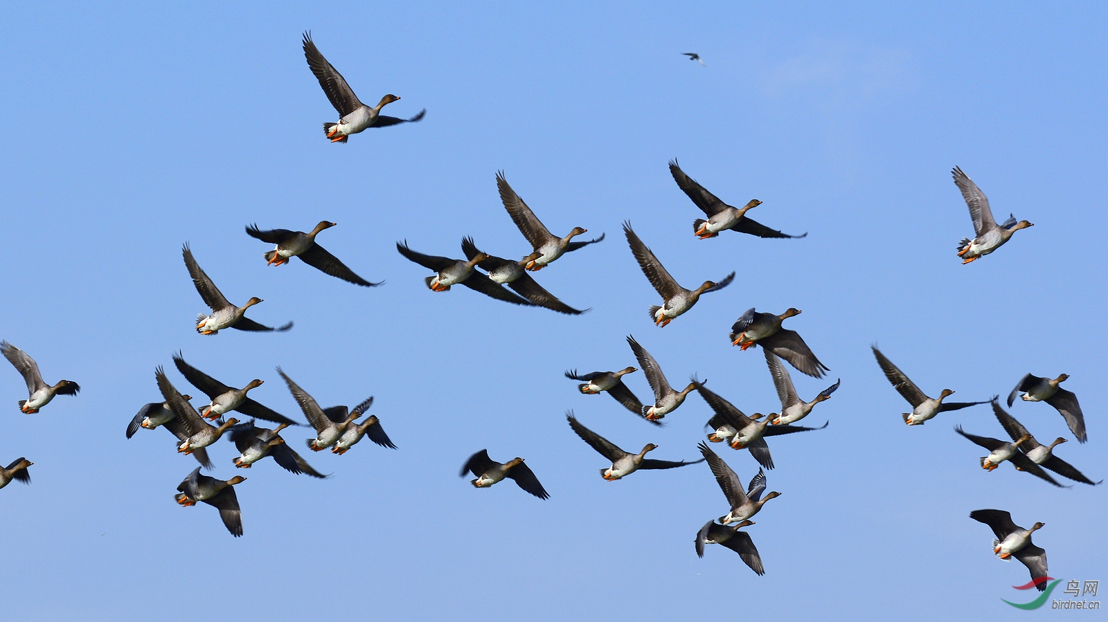 DSC_9551.JPG