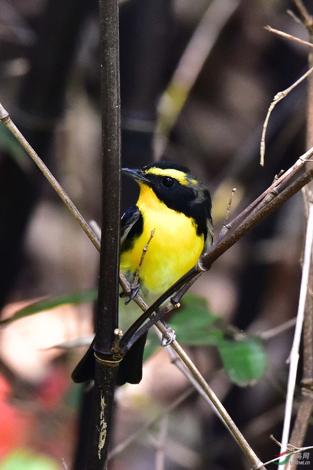 DSC_0018.JPG
