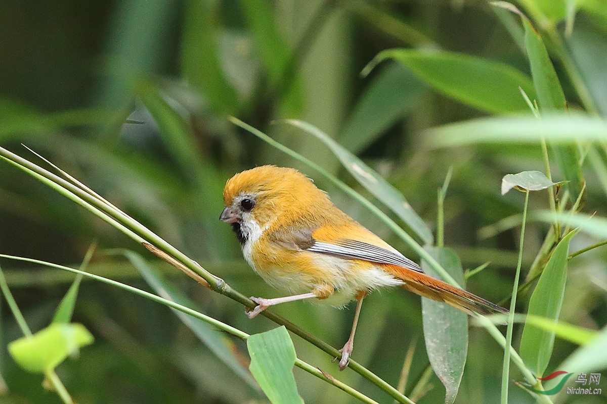 BK0I7606-5.JPG