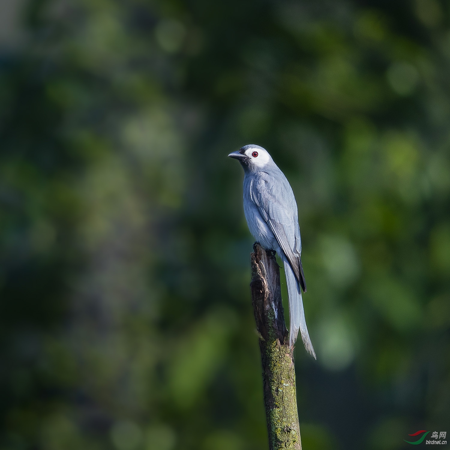 NL__1203-1.jpg