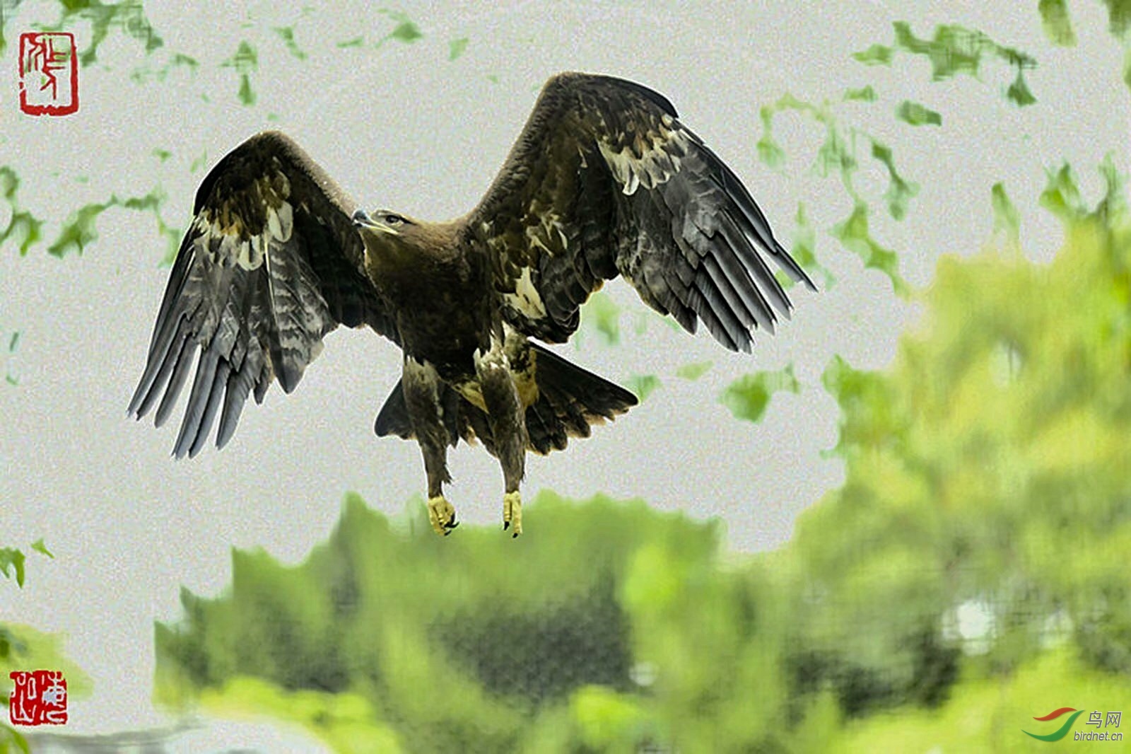 4270D1E3-0CFA-4C60-B255-256955D78173.jpeg