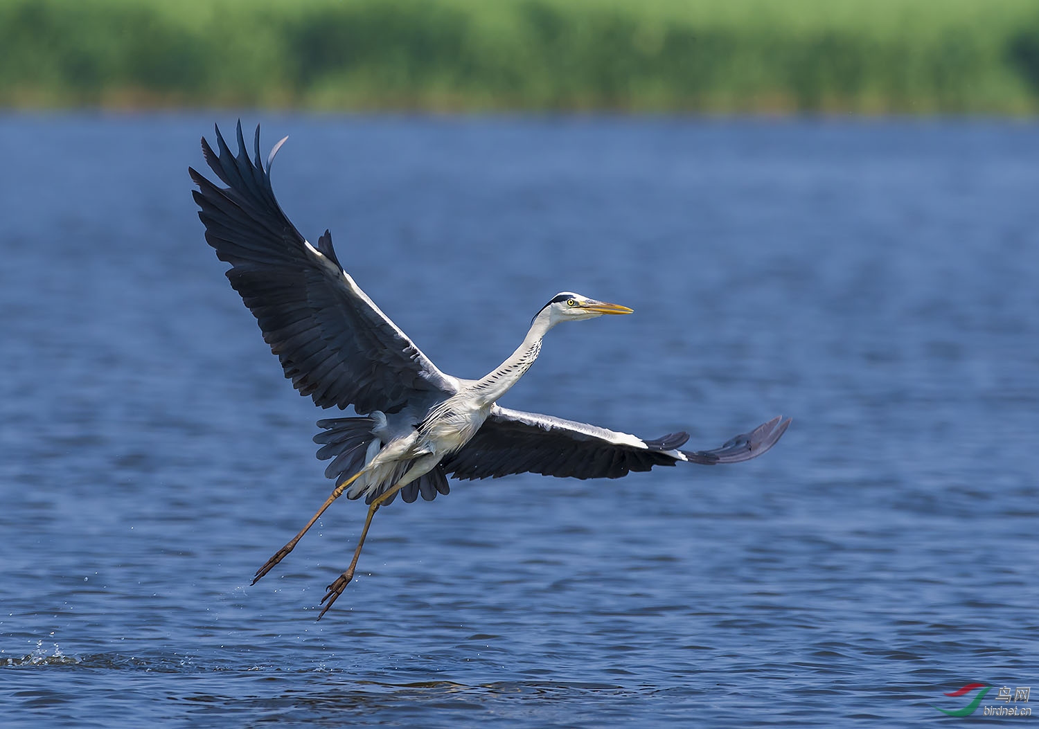 DSC_5614.jpg
