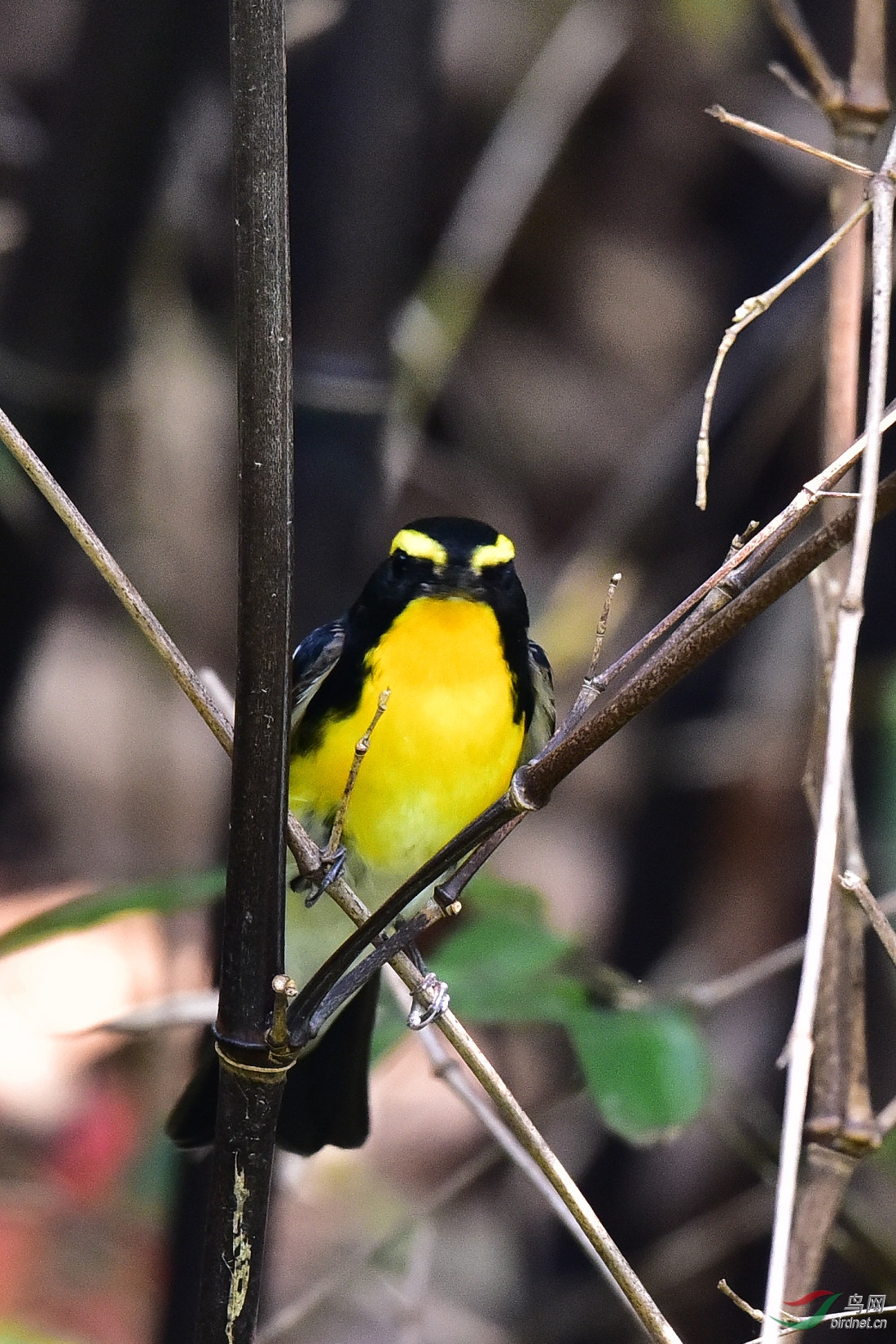 DSC_0022.JPG